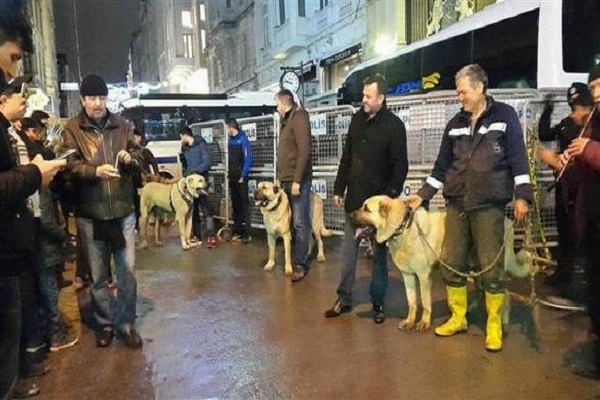 İstiklal Caddesinde kangal köpekleriyle Hollanda protestosu
