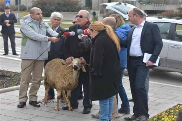 CHP'li vekil TBMM'ye koç getirdi