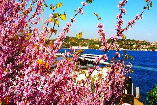 Hava sıcaklığında artış yaşanacak