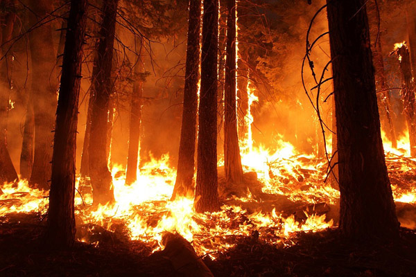 Antalya'da orman yangını çıktı, 1.5 hektarlık alan yandı