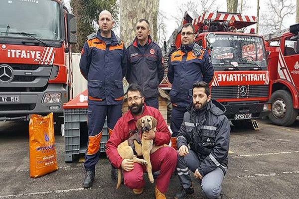 Kuyu köpek yeni evine kavuştu