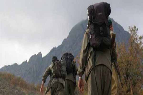 Muş'ta PKK kaçırdığı askerleri güvenlik güçlerine teslim etti