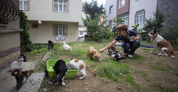 Emekli maaşıyla evindeki 50 hayvan dostuna bakıyor