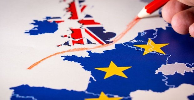 İngiltere'de AP seçimlerinde Brexit karşıtları öne geçti