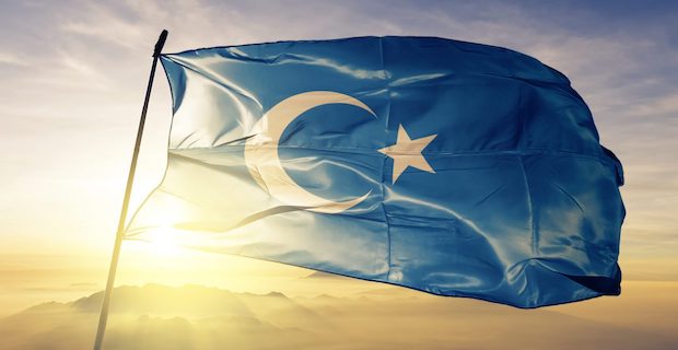 Kardeş Özbekistan'dan doğu Türkistan'a destek