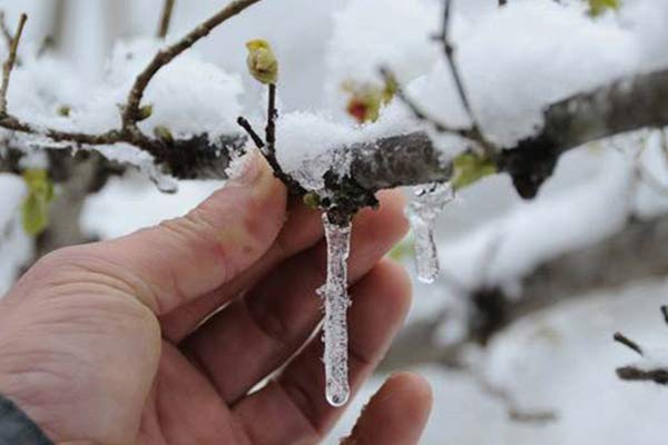 O iller için buzlanma ve don uyarısı yapıldı