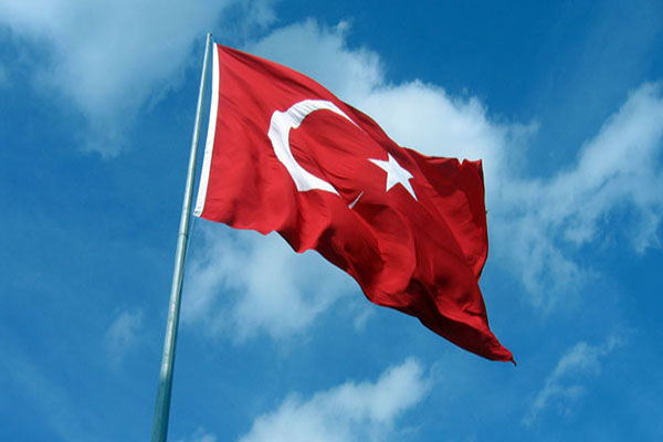 Türk bayrağını yakmaya çalıştılar