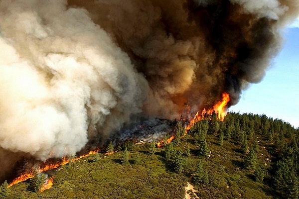 California'daki yangınlarda 1 milyar dolar zarar edildi