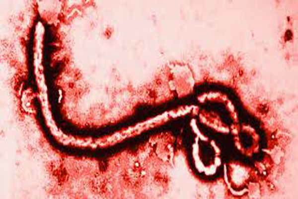 İzmir'de ebola alarmı