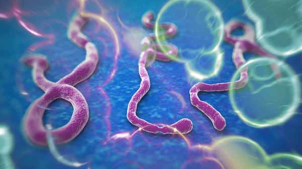 İngiltere Hükümeti'nden Ebola alarmı