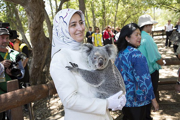Sare Davutoğlu koalaları çok sevdi