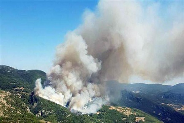 Muğla'da korkutan yangın ekipler havadan ve karadan müdahale ediyor