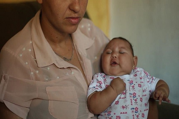 Zika virüsüne karşı ortak mücadele çağrısı