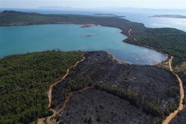 Şeytan Sofrasında çıkan yangınla ilgili çarpıcı iddia